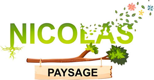 NICOLAS PAYSAGE