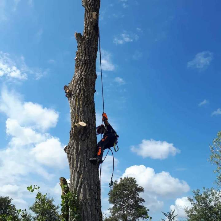 lagage professionnel Saint André de Cubzac