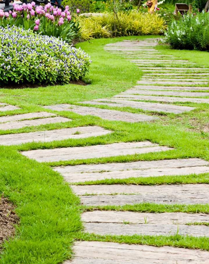 Jardinier paysagiste Saint-André-de-Cubzac