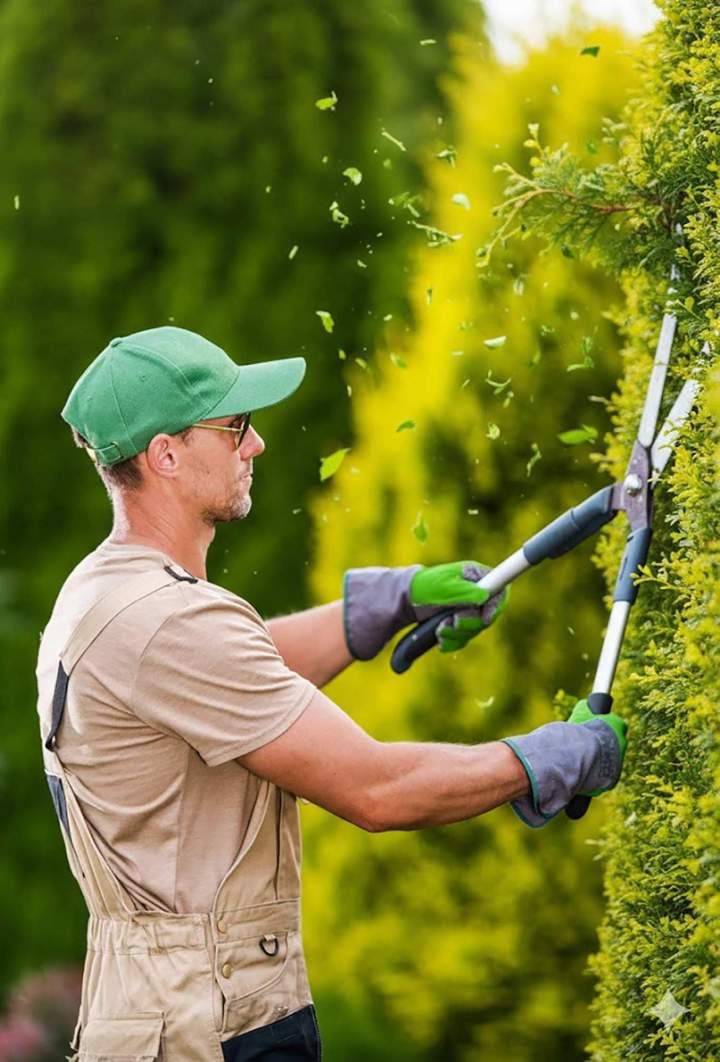 Entretien de jardin Saint-André-de-Cubzac